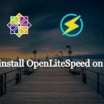 How to install OpenLiteSpeed on Centos?