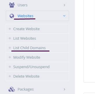 website-> List child Domain