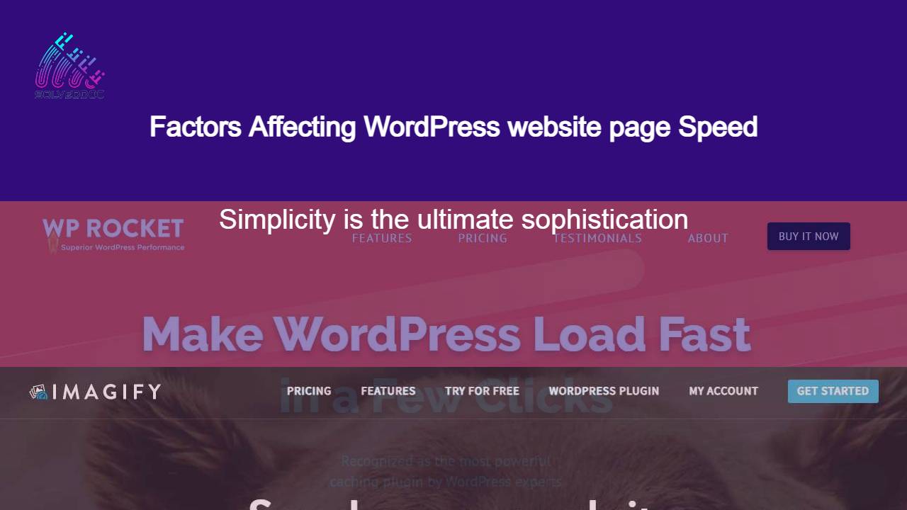 You are currently viewing Factors Affecting WordPress website page Speed