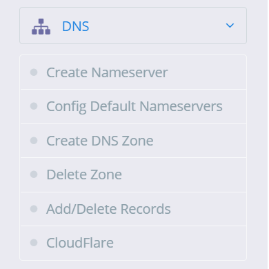 DNS