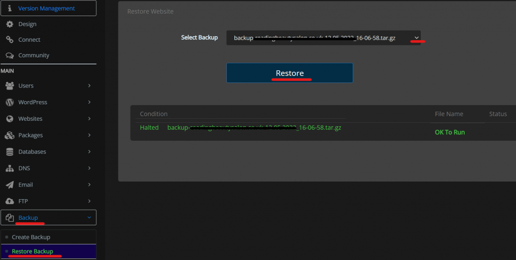 restore website backup in Cyberpanel